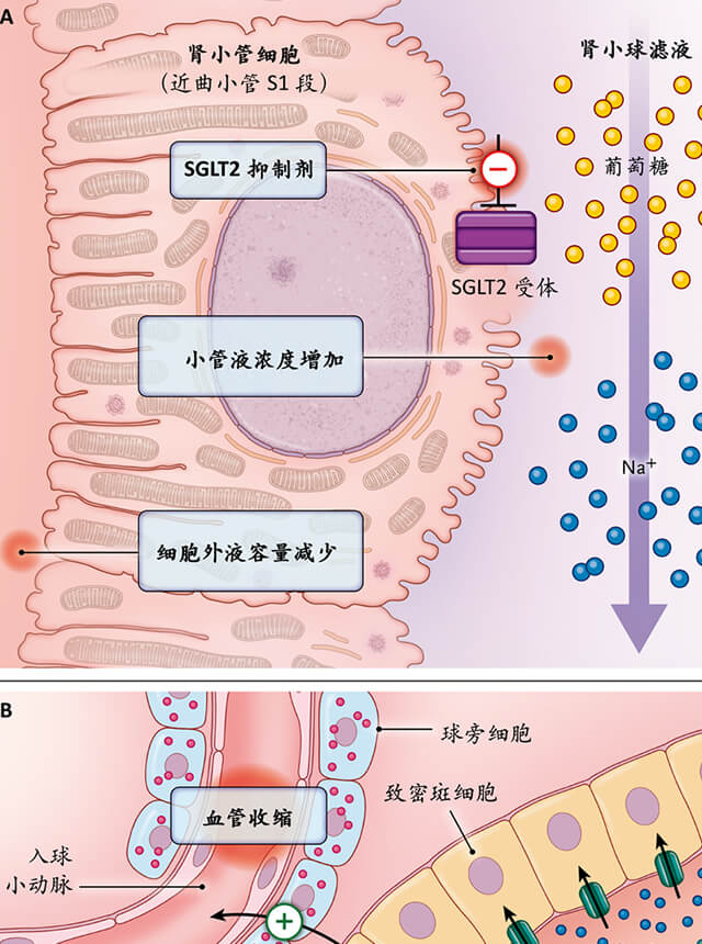 周刊 nejm医学前沿