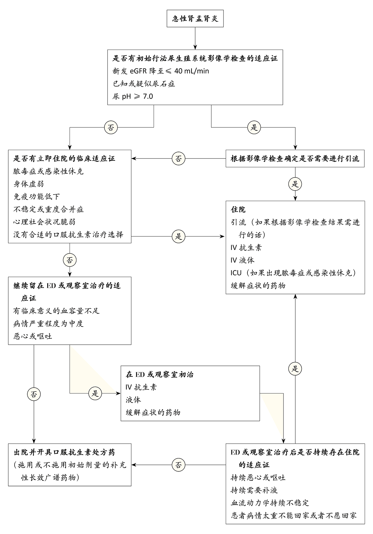 成人急性肾盂肾炎 Nejm医学前沿 成人急性肾盂肾炎 Nejm医学前沿