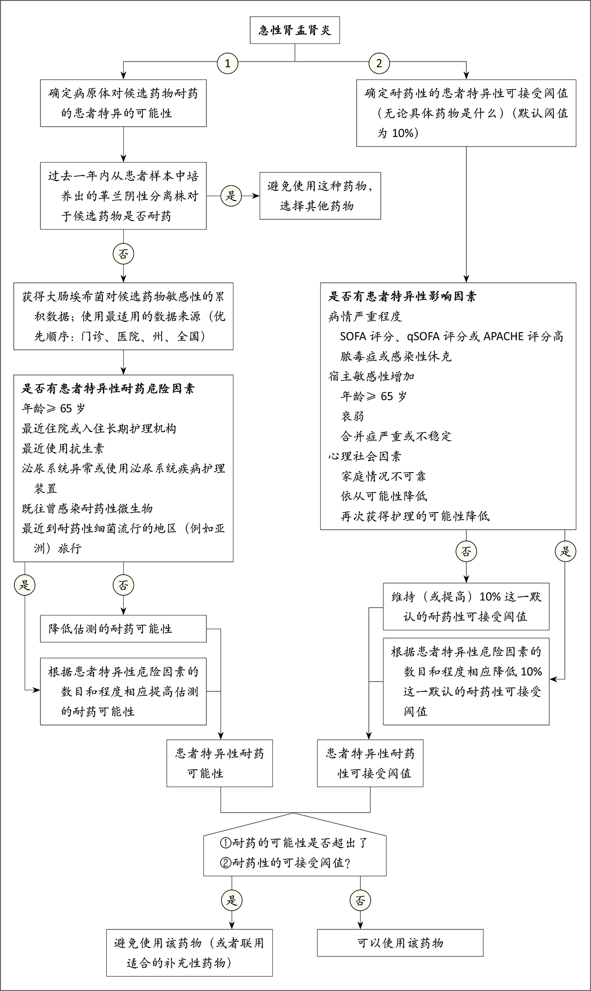 成人急性肾盂肾炎 Nejm医学前沿 成人急性肾盂肾炎 Nejm医学前沿