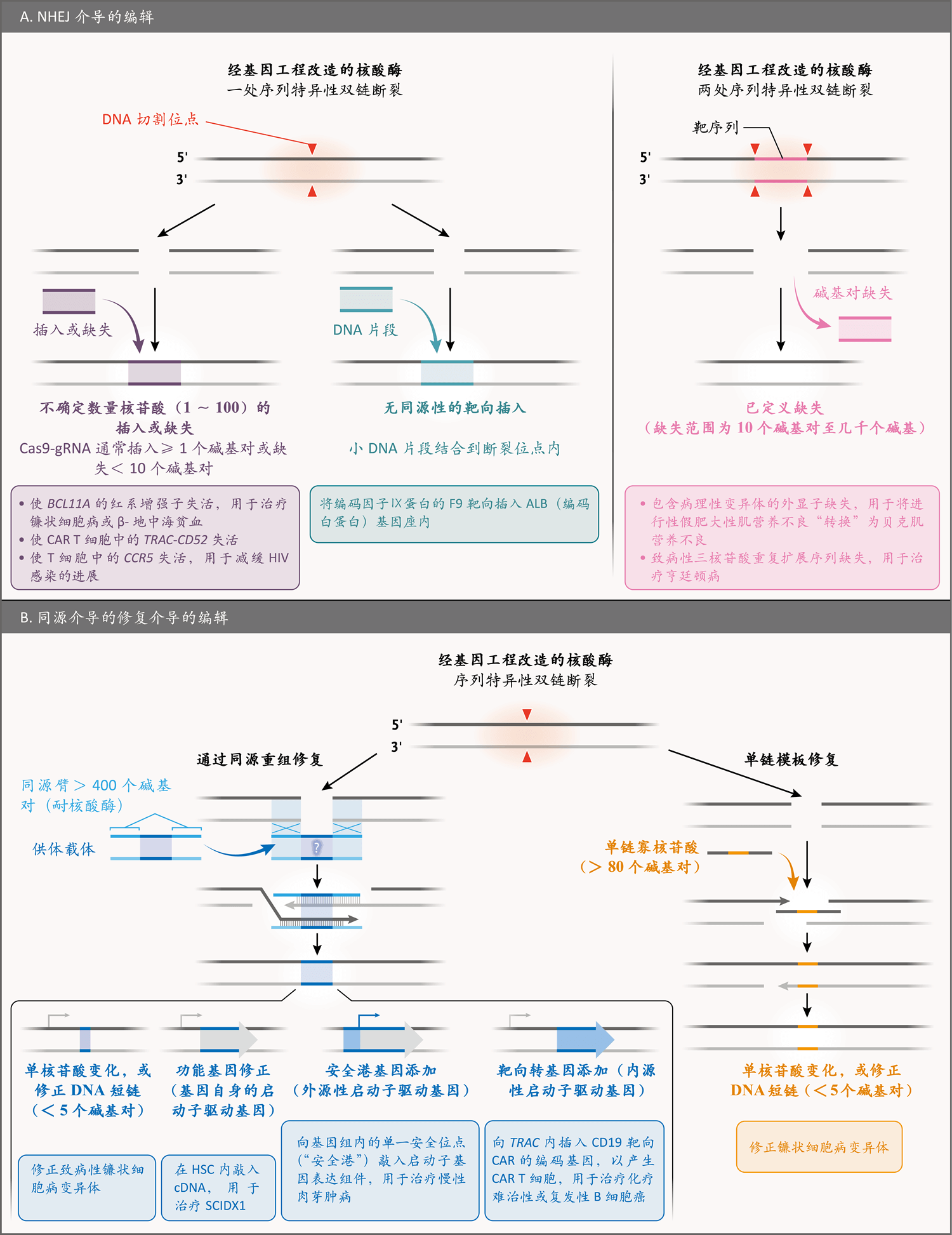 一类通过dna编辑发挥作用的新型药物 Nejm医学前沿