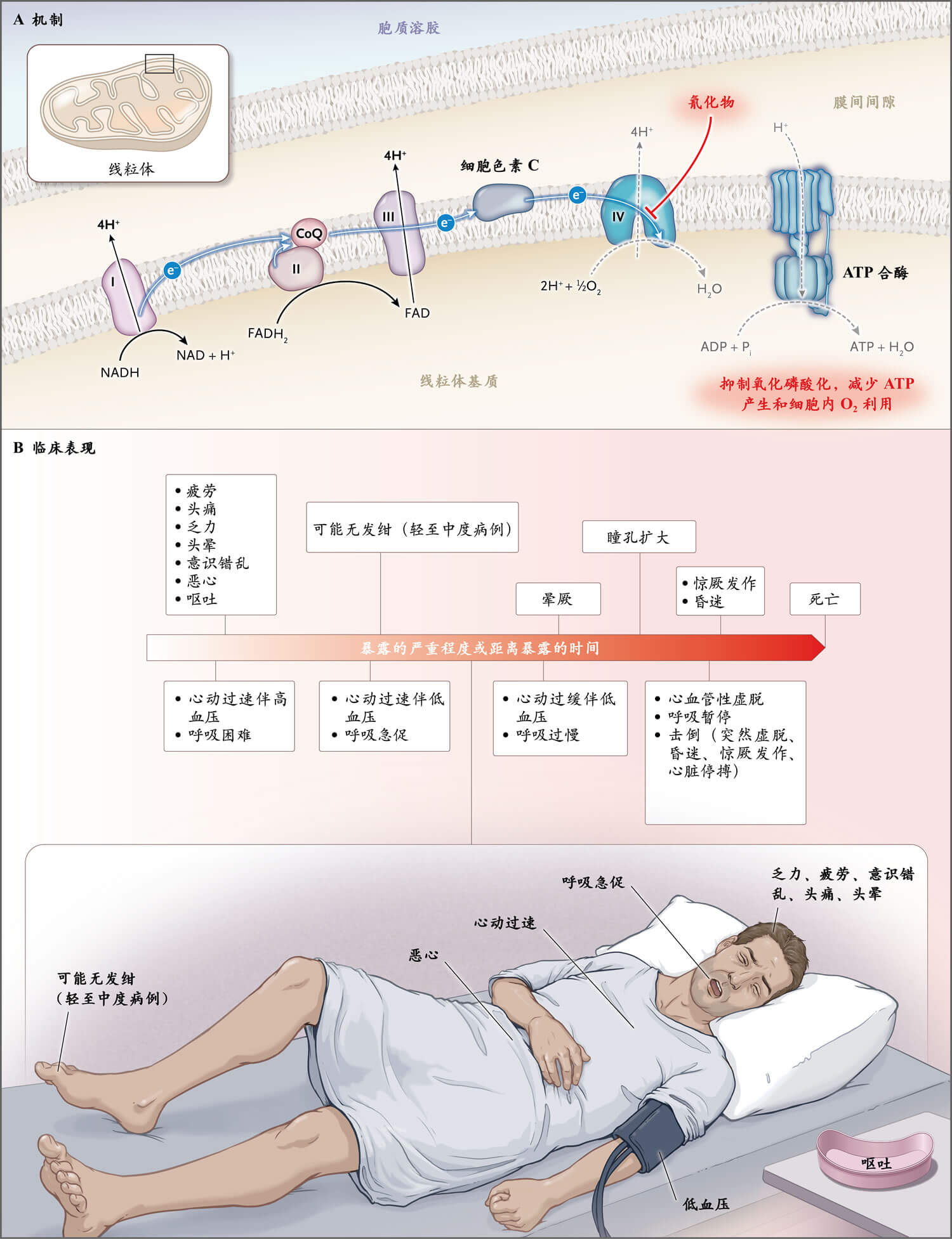 危险化学品紧急事件和中毒