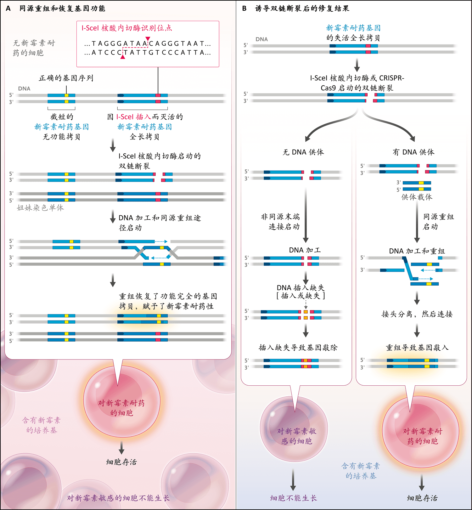 nejm医学前沿