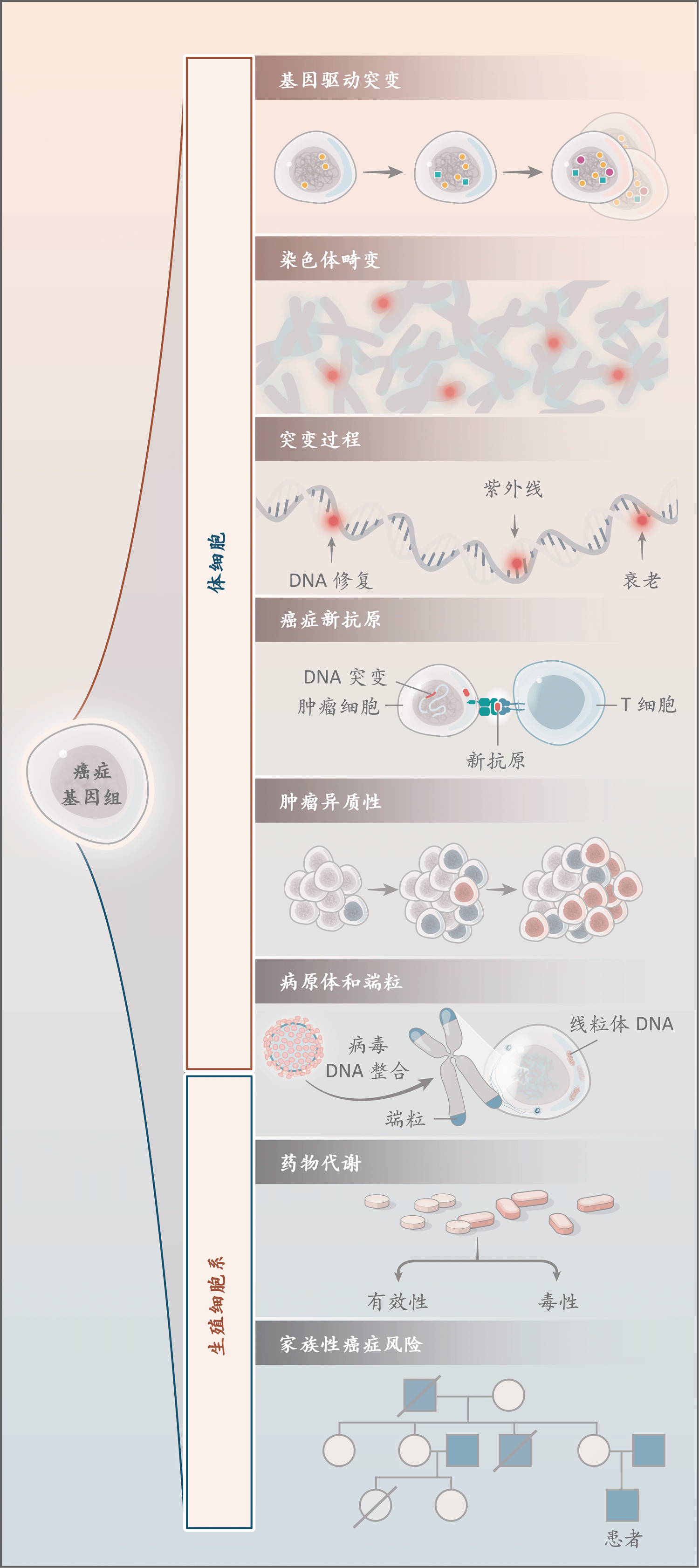 nejm医学前沿
